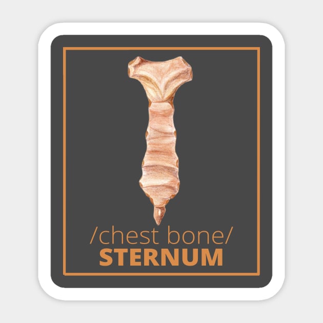 STERNUM /chest bone/ T-SHIRT Sticker by Medical clothing